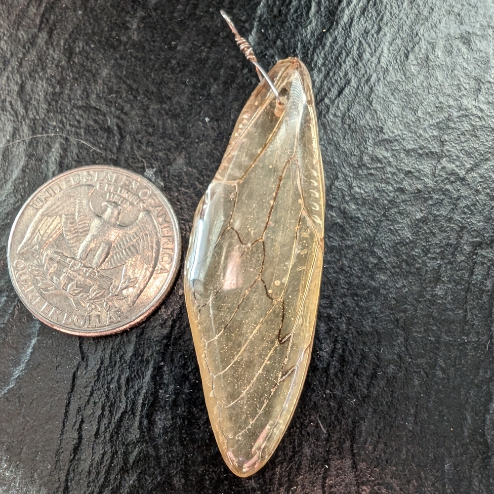 Real Cicada Wing Resin Pendant